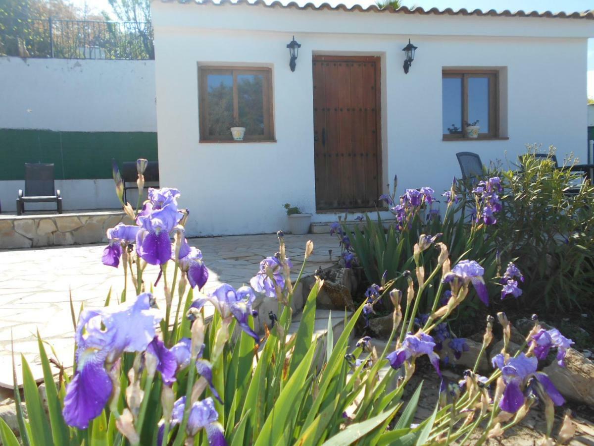La Casita, Zagra Villa La Carrera de la Viña Exterior foto